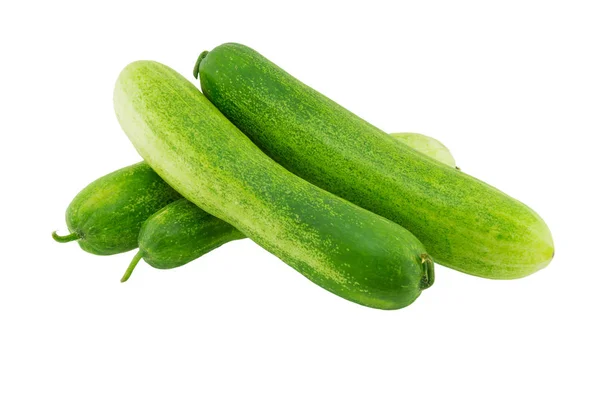 Groene komkommers geïsoleerd op witte achtergrond — Stockfoto