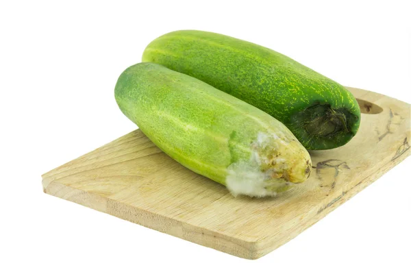 Rotte komkommer geïsoleerd op de witte achtergrond — Stockfoto