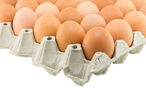 Ovos numa caixa isolada num fundo branco — Fotografia de Stock