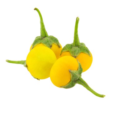 Beyaz arka plan üzerinde izole sarı patlıcan