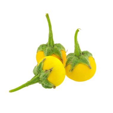 Beyaz arka plan üzerinde izole sarı patlıcan