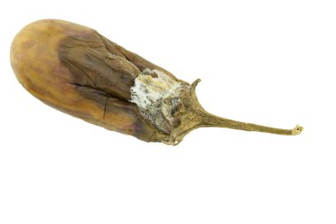 Beyaz arka plan üzerinde izole patlıcan çürük