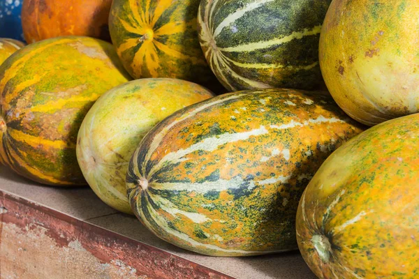 Melonen auf dem Markt. — Stockfoto
