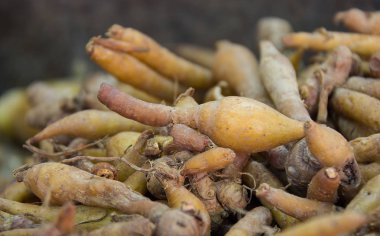 Parmak-kök taze pazarda, Tayland