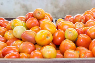 kırmızı domates pazarında