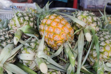 Ananas piyasada yığını