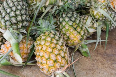 Ananas piyasada yığını