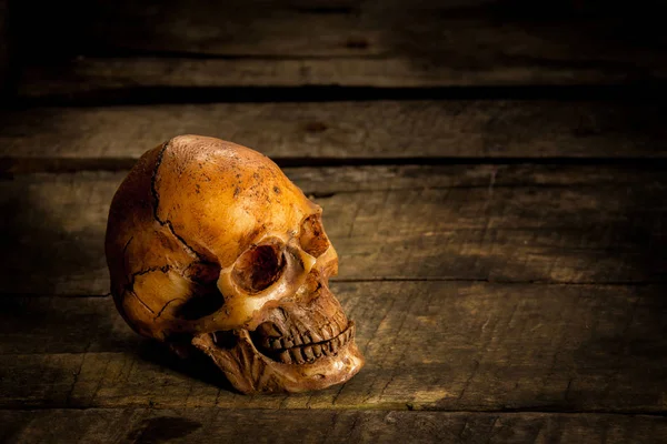 Cráneo humano sobre fondo de madera vieja, naturaleza muerta —  Fotos de Stock