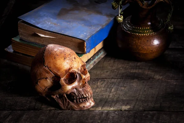 静物的头骨和书，花上木制花瓶 — 图库照片