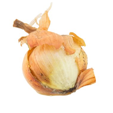 beyaz arkaplanda izole edilmiş çürük soğan