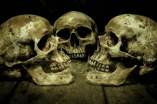 Skull on wooden background. — Stock Photo, Image