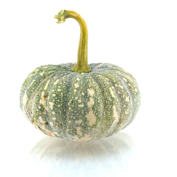 Zucca isolata su sfondo bianco — Foto Stock