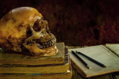 Natürmort kitap kafatasında ve ahşap üzerinde en