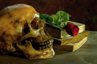 Beyaz gül, eski kitap ahşap ile insan kafatası ile natürmort