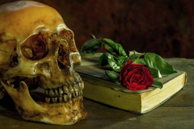 Beyaz gül, eski kitap ahşap ile insan kafatası ile natürmort