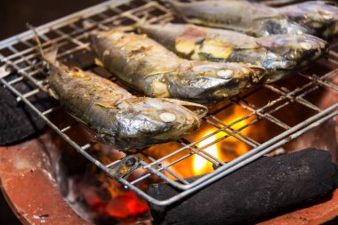 balık ızgara ocakta