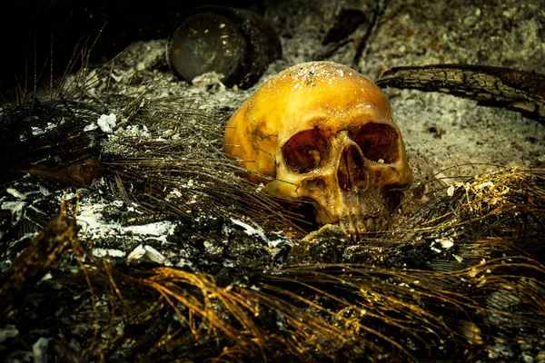 Küller ve orman yandı günlük insan kafatası ile natürmort