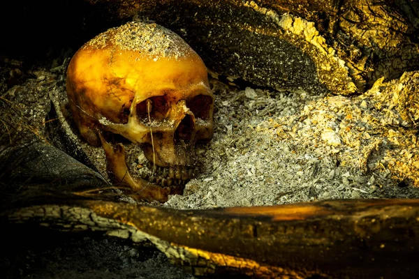 Küller ve orman yandı günlük insan kafatası ile natürmort