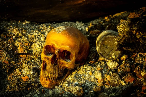 Küller ve orman yandı günlük insan kafatası ile natürmort