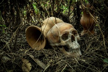 Ormandaki bir kafatası ile natürmort