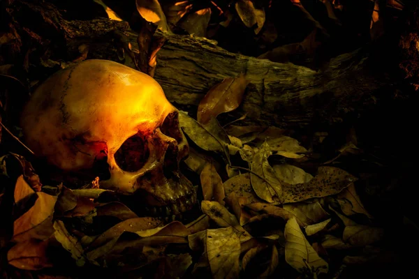 İnsan kafatası yaprak yığını ile natürmort