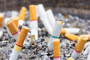 kirli bir kül tablası içinde sigara füme