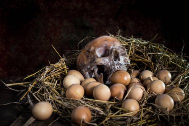 Ahşap arka plan üzerinde kafatası ağzına yumurta