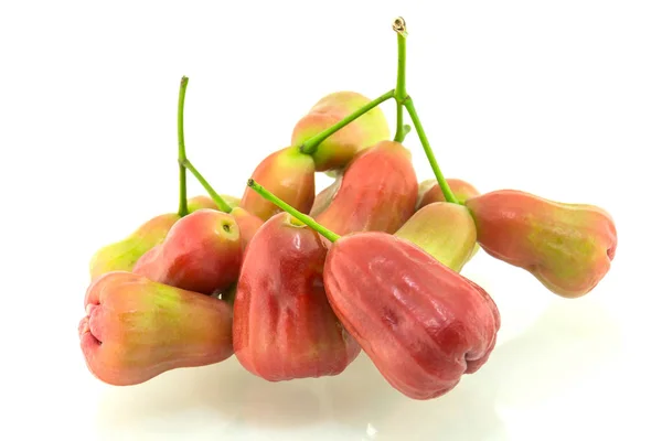 Rose apples isolated on white background — Stock Photo, Image