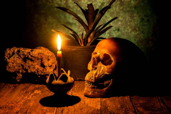 Skull and candle with candlestick on wooden background, still life concept — Stock Photo, Image