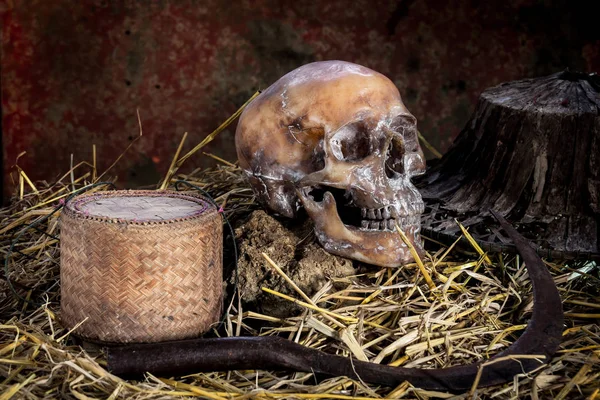 Still life with  skull on straw and sickle,rice kratib, cap machine weave — Stock Photo, Image