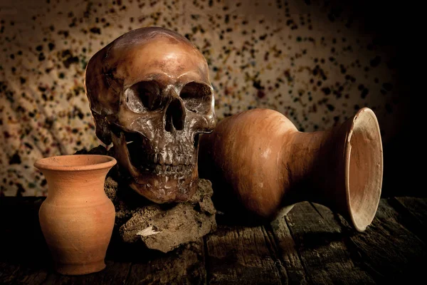 Bodegón con cráneo y jarrón, loza —  Fotos de Stock