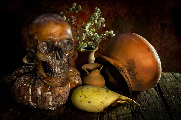 Bodegón con cráneo y jarrón, loza —  Fotos de Stock