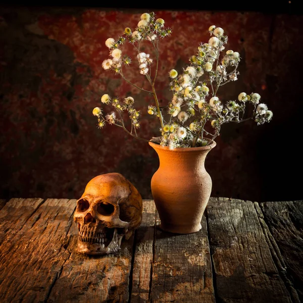 Bir kafatası ve vazo, toprak ile natürmort