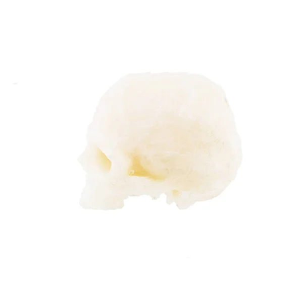 Crânio humano isolado sobre fundo branco — Fotografia de Stock