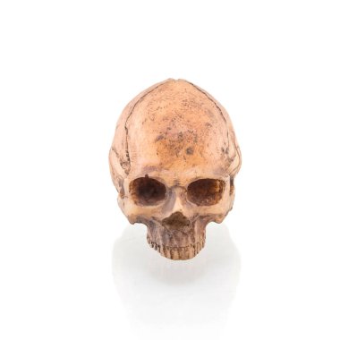 Beyaz arkaplanda izole edilmiş insan kafatası