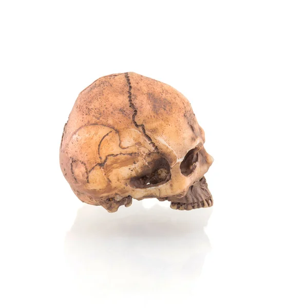 Crânio humano isolado sobre fundo branco — Fotografia de Stock