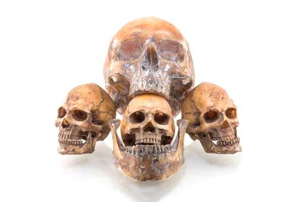 Menselijke schedel geïsoleerd op witte achtergrond — Stockfoto