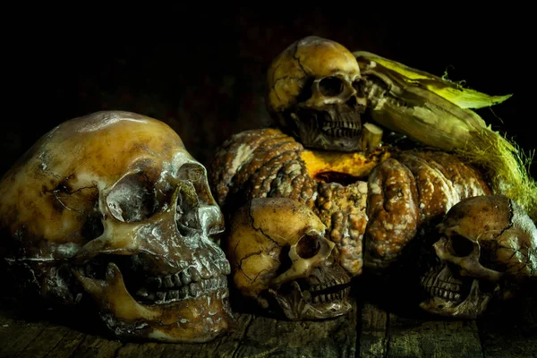Still Life with skull and Pumpkin — Stock Photo, Image