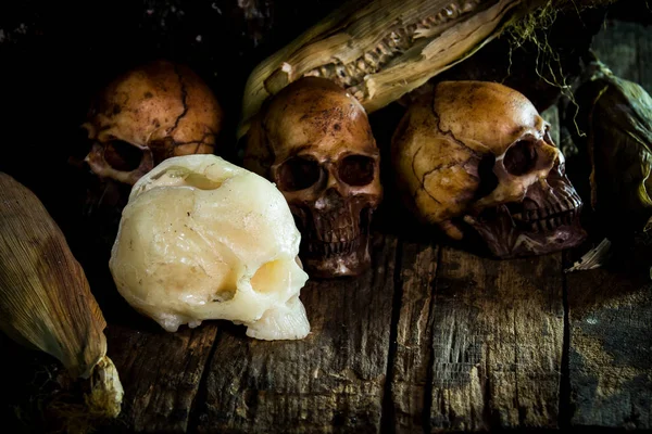 Still Life with skull and Pumpkin — Stock Photo, Image