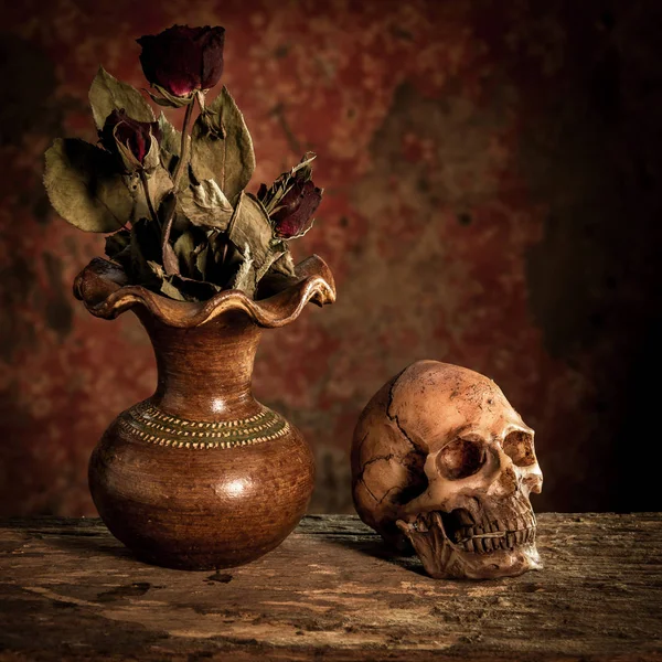 Still Life with a Skull and vase,earthenware — Stock Photo, Image