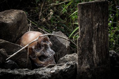 Natürmort buzlu insan kafatası ile