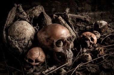 Kurumuş odun insan kafatası ile natürmort