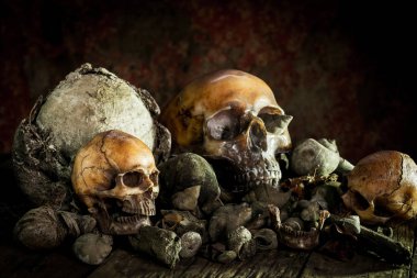 Kurumuş odun insan kafatası ile natürmort