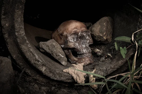 Ainda vida com crânio humano no oleoduto — Fotografia de Stock