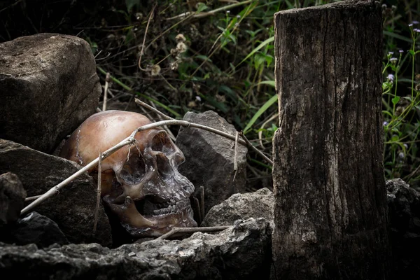 Natürmort buzlu insan kafatası ile