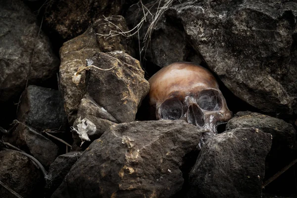 Natureza morta com crânio humano nas rochas — Fotografia de Stock