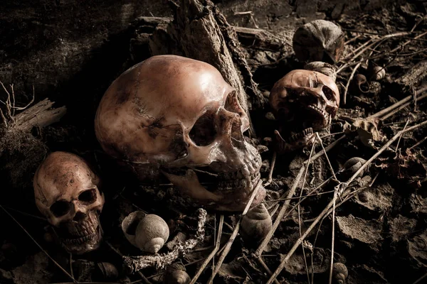 Kurumuş odun insan kafatası ile natürmort