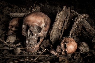 Kurumuş odun insan kafatası ile natürmort