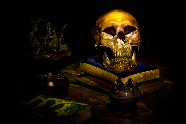 Натюрморт с черепом на книге и деревянной — стоковое фото