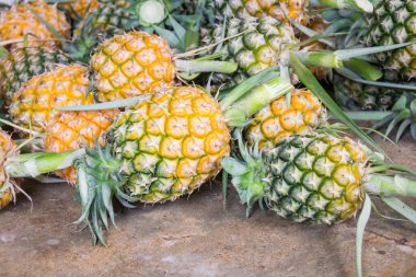 Ananas piyasada yığını